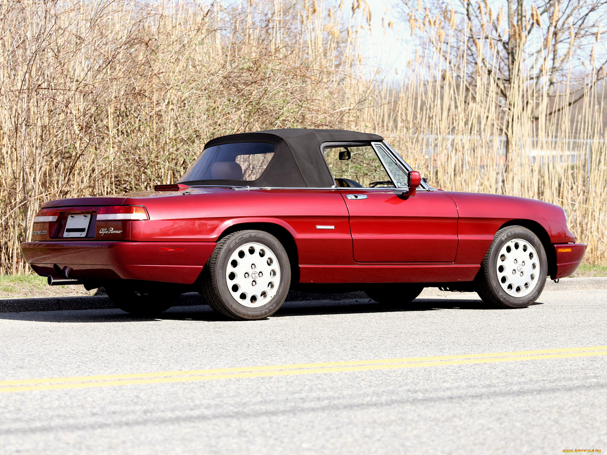 , alfa romeo, , 115, us-spec, veloce, spider, alfa, romeo